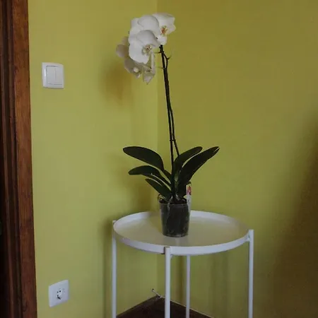 Apartment Apartamento Botanique