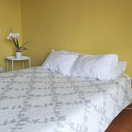 Apartamento Botanique